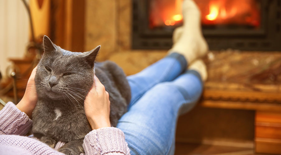 Cat snuggling by fireplace